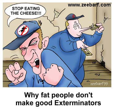 Stop Eating Cheese