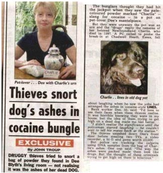 Thieves Snort Dogs Ashes