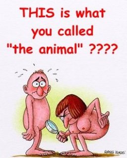 This Is What You Call The Animal