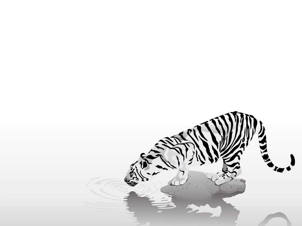 Tiger On River