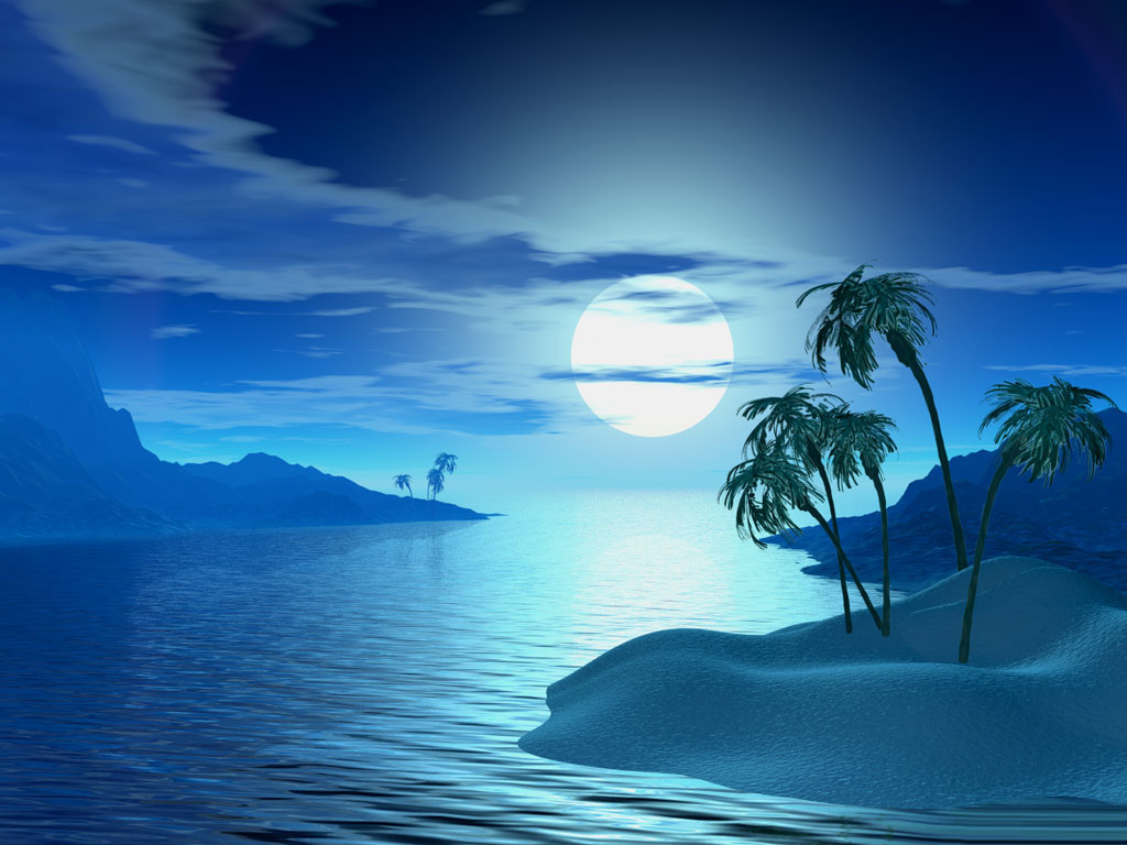 Tropic Night
