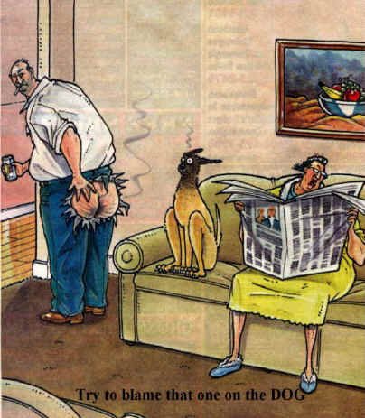 Try To Blame That One On The Dog