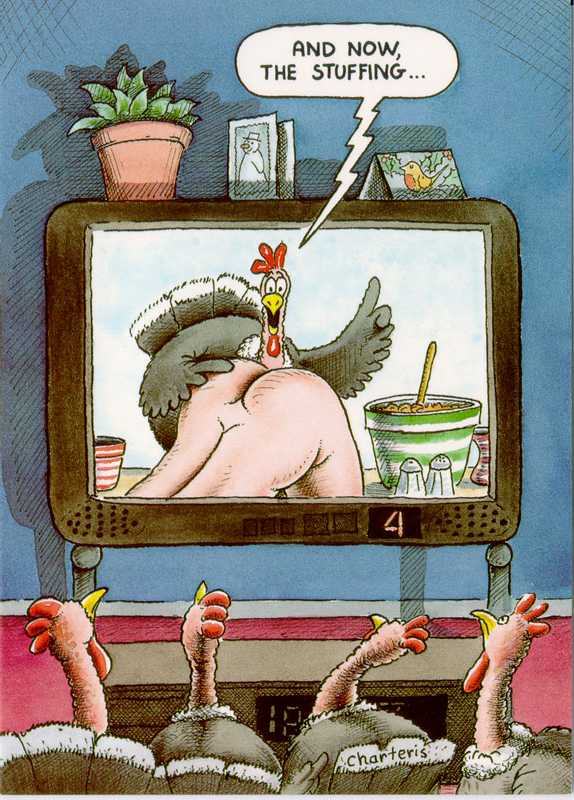 Turkey Dinner