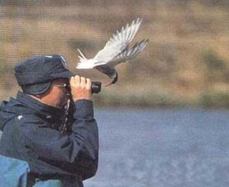 Unnesessary Binoculars