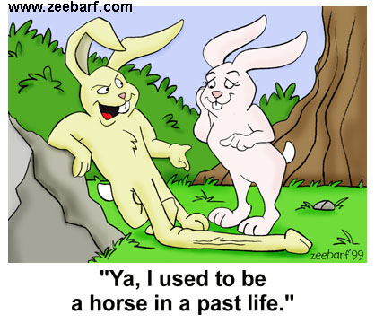Used To Be A Horse