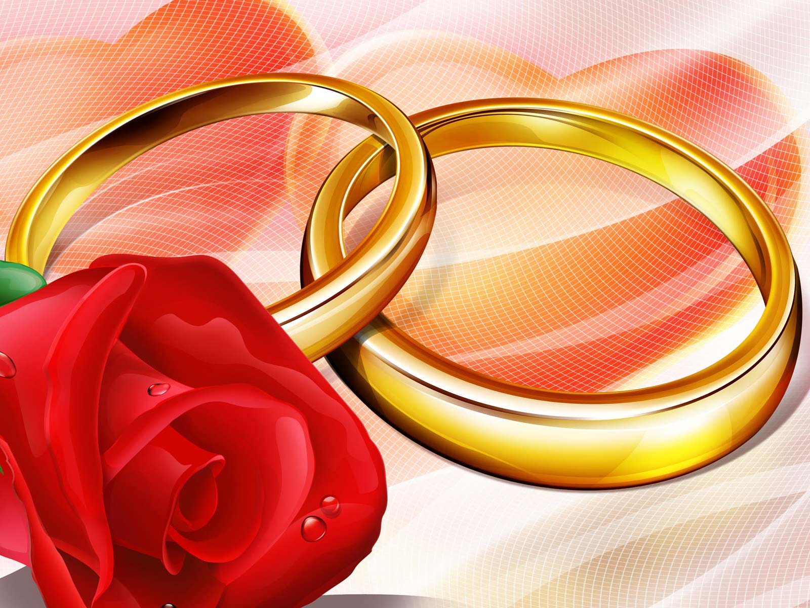 Wedding Ceremony
