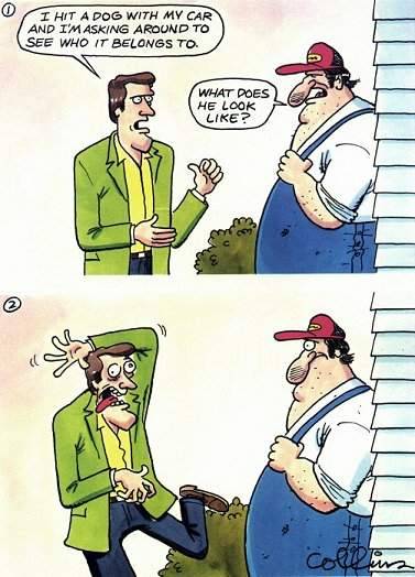 What Dog Looks Like