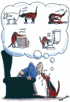 What Dog Thinks
