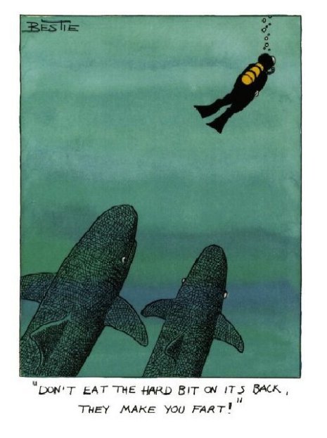 What Sharks Thinking