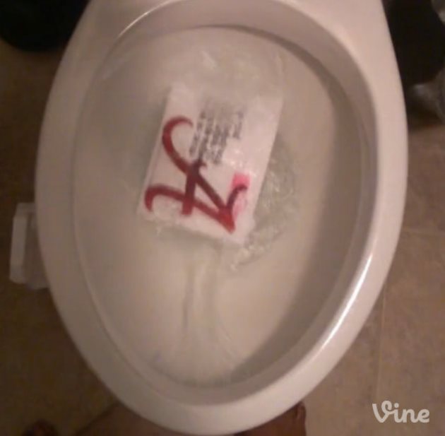rolltoiletresize.jpg