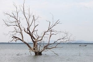 sea-levelRise300_0.jpg