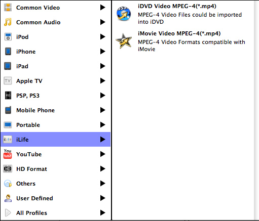 convert-wmm-video-to-imovie.jpg