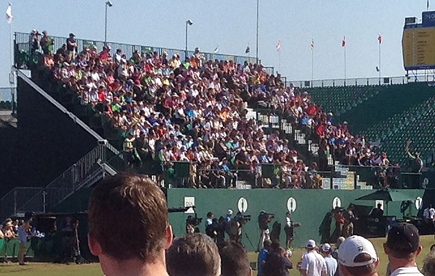 Tiger-stands.jpg