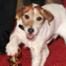 300.ab.uggie.011512.jpg