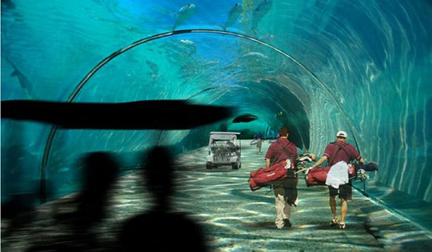 c0817tunnel.jpg