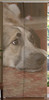 5146450818_66046539e8_t.jpg