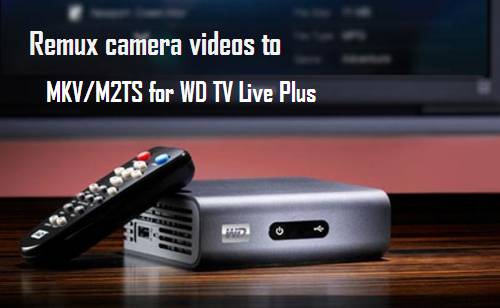 remux-camera-videos-to-mkv-m2ts-for-wdtv-live-plus.jpg