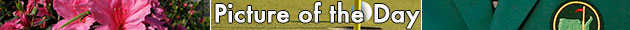 PictureofDayDBG.jpg