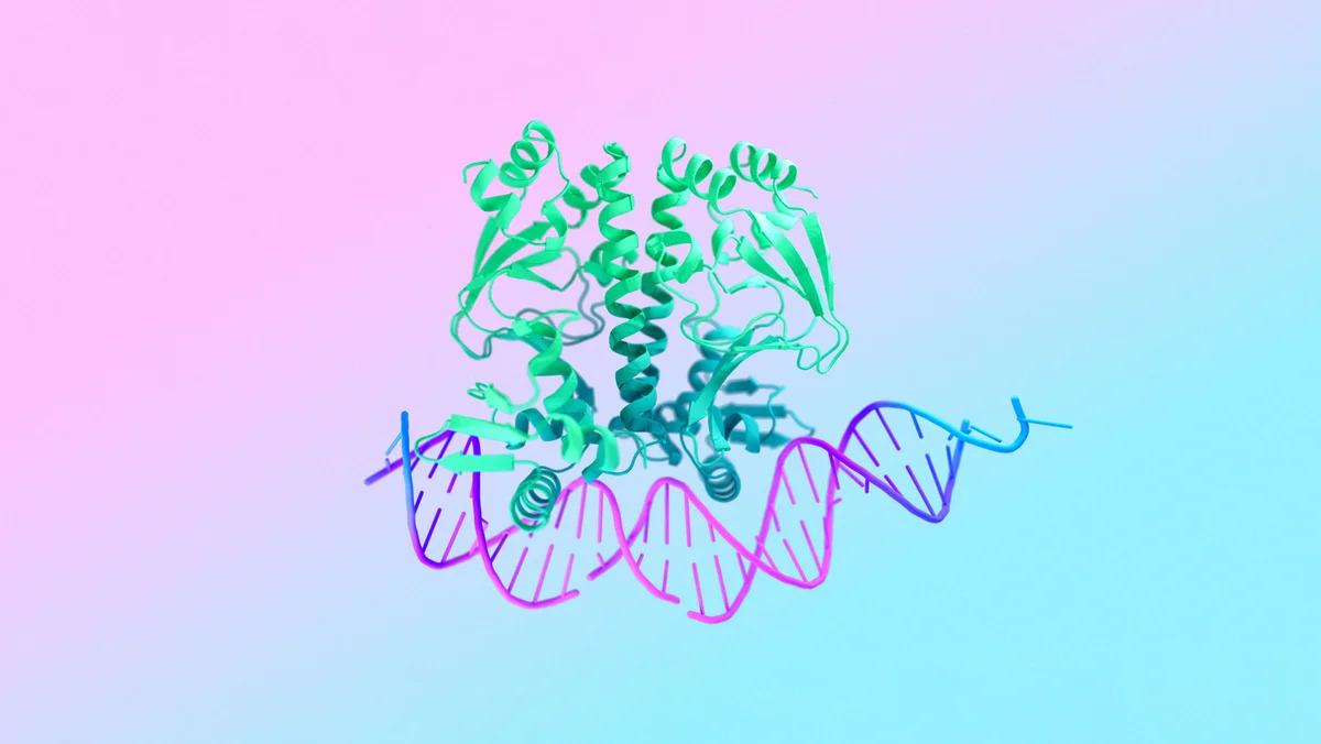 28cd9c40-0d6b-11ef-bfbd-48b1d33641b7