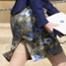 300.guesswho.mh.033012.jpg